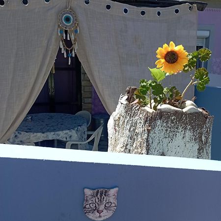 La Gatta Studio Gaios Exteriér fotografie