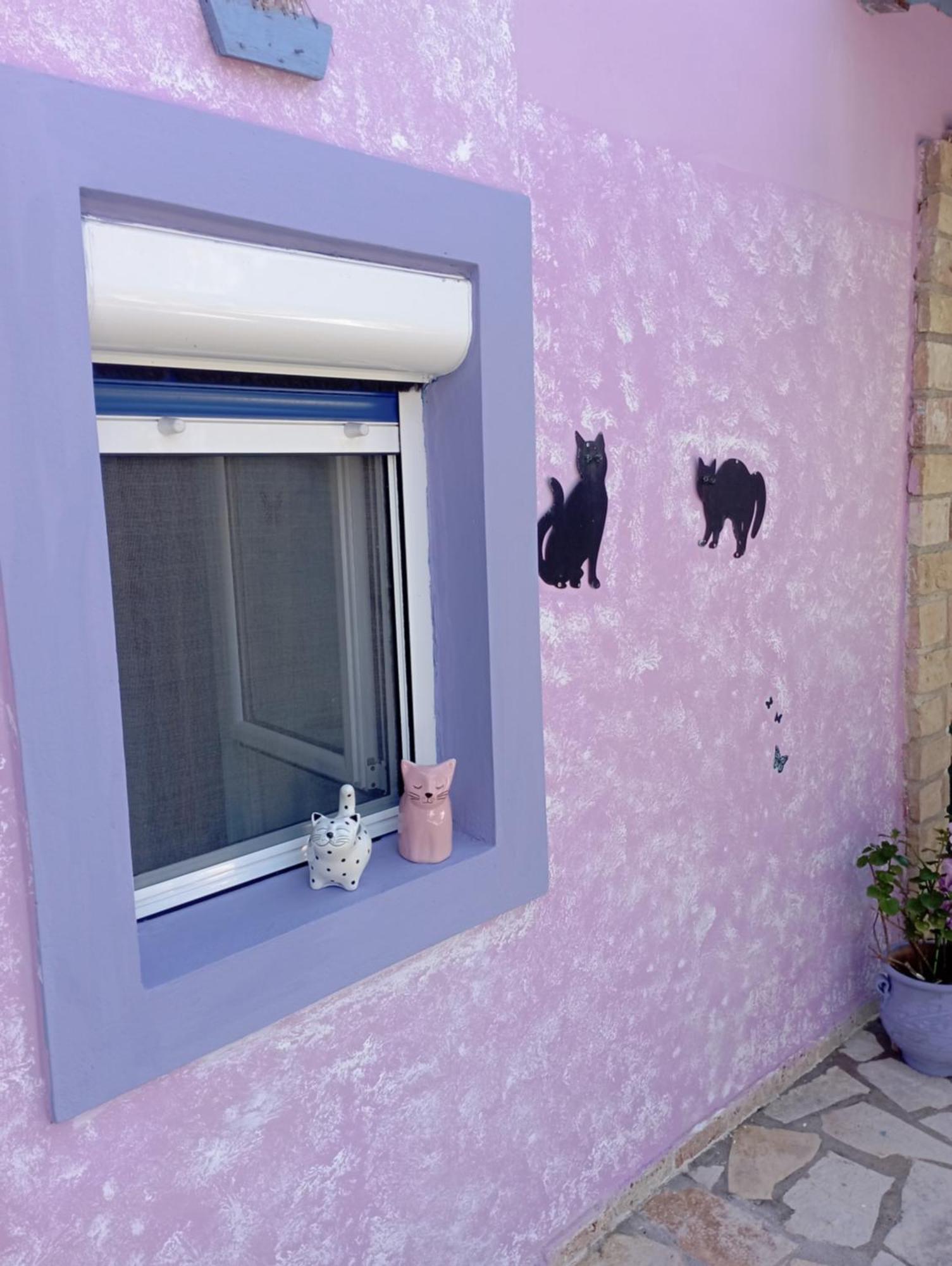 La Gatta Studio Gaios Pokoj fotografie