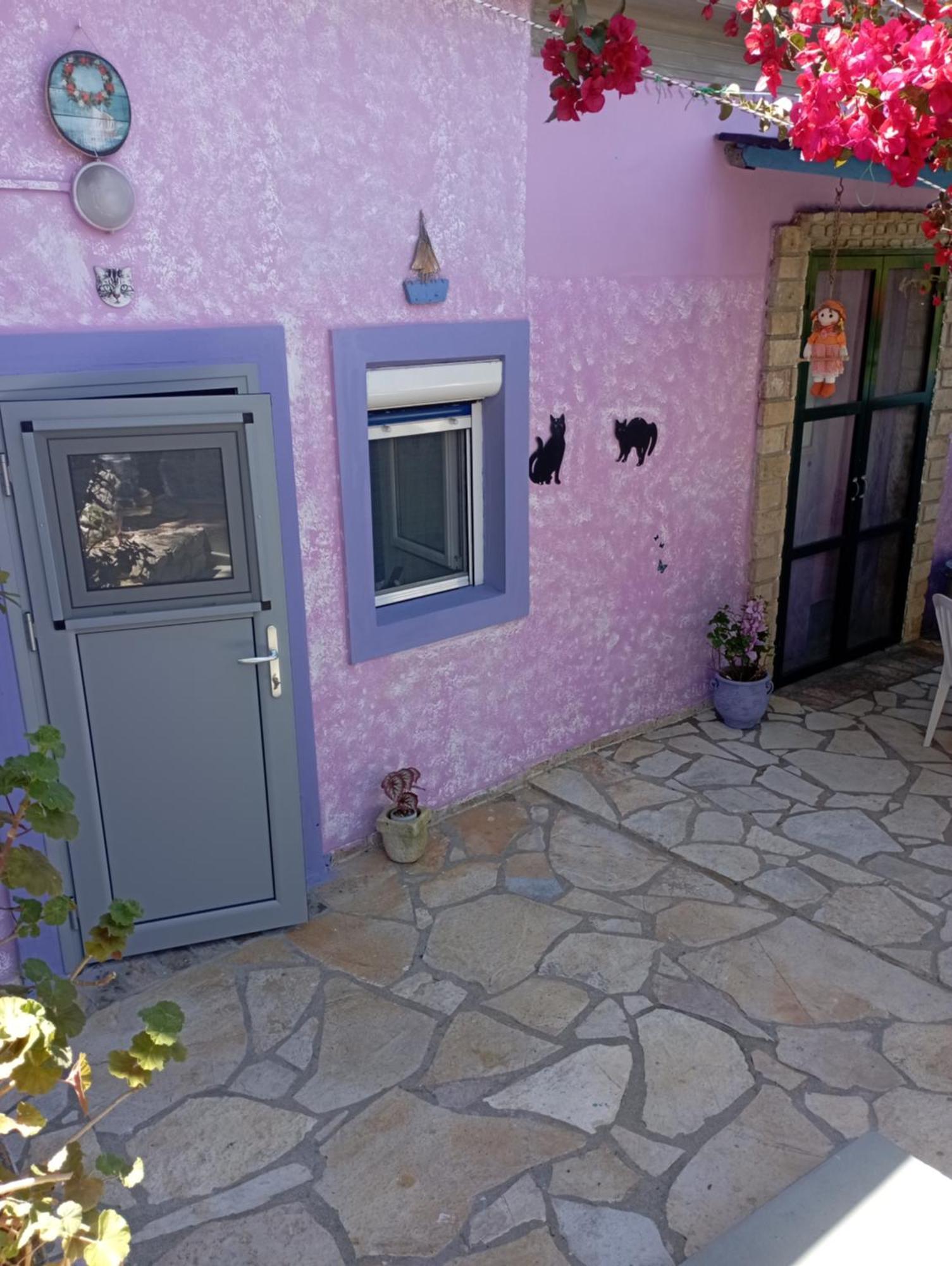 La Gatta Studio Gaios Pokoj fotografie