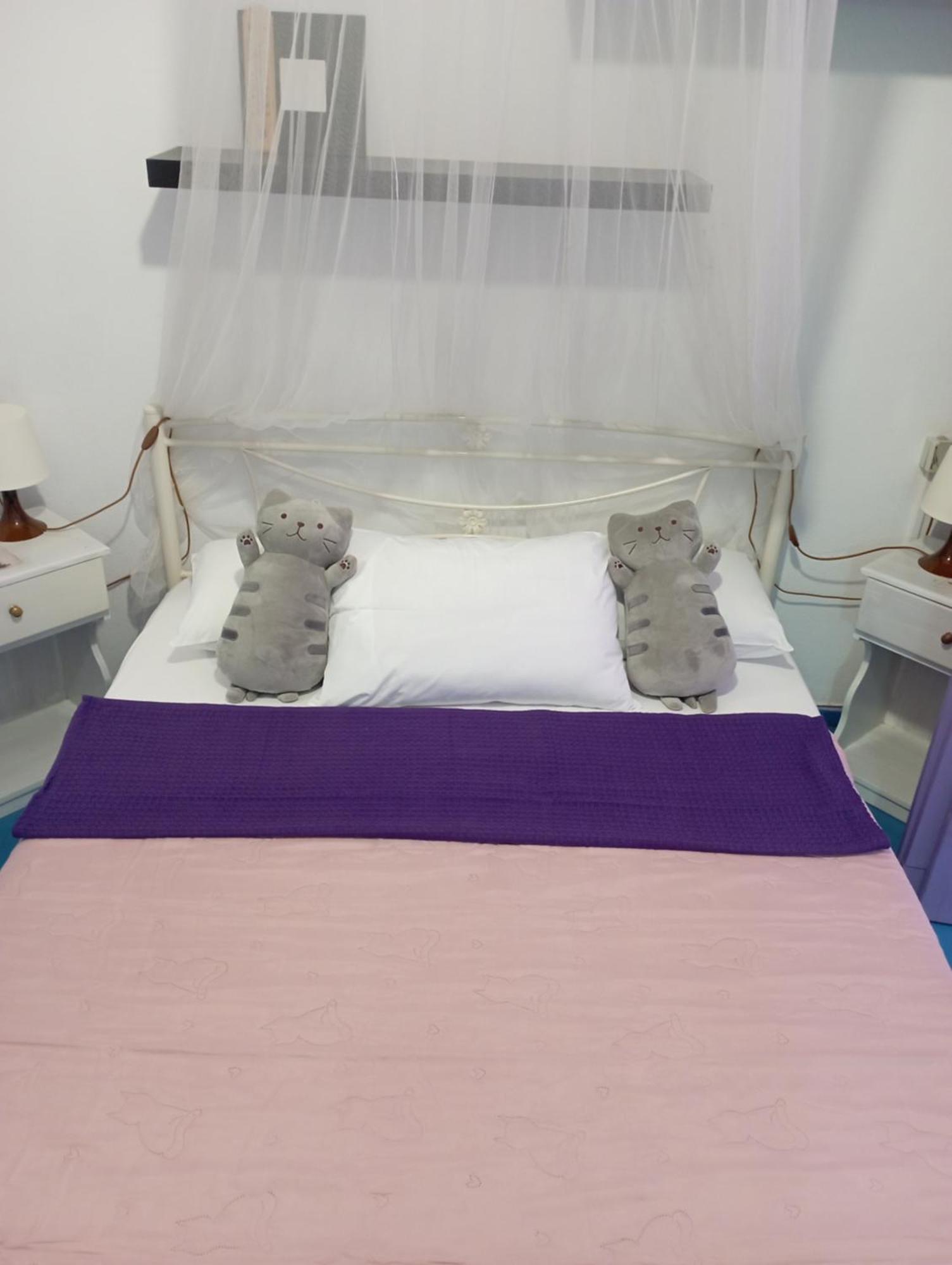 La Gatta Studio Gaios Pokoj fotografie
